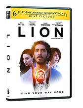 Picture of Lion