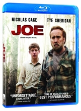 Picture of Joe (Blu-ray) (Bilingual)