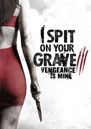 Picture of I Spit On Your Grave 3