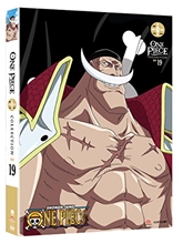 Picture of One Piece: Collection 19