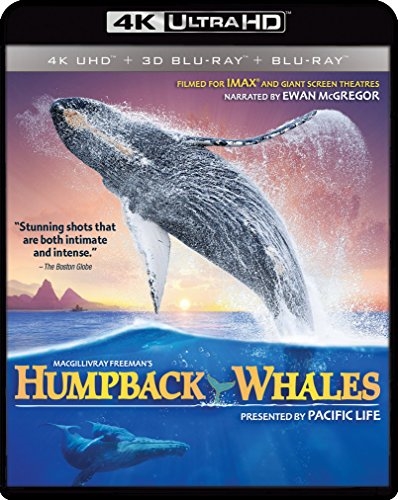 Picture of Humpback Whales (4K UHD & 3D Blu-Ray & Blu-Ray)
