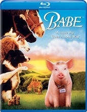 Picture of Babe [Blu-ray] (Bilingual)