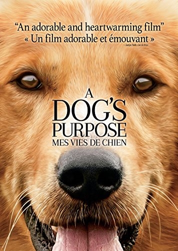 Picture of A Dog’s Purpose (Bilingual)