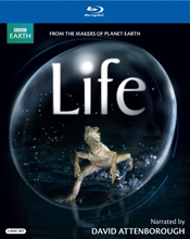 Picture of BBC Earth: Life [Blu-ray]