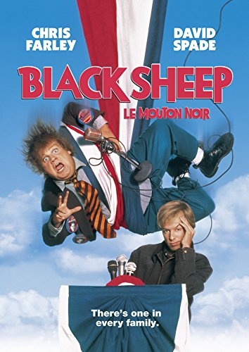 Picture of Black Sheep