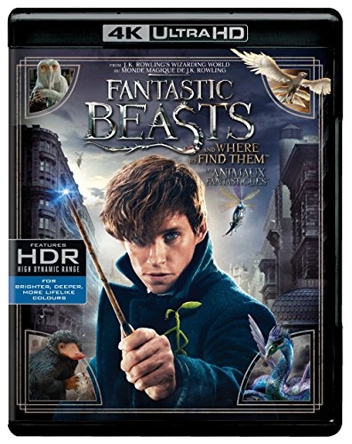Picture of Fantastic Beasts and Where To Find Them (Bilingual) [4K UHD + Blu-Ray + UV Digital Copy]