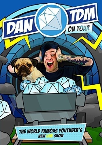 Picture of DanTDM On Tour