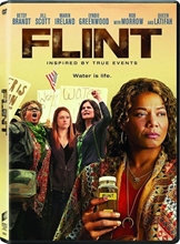 Picture of Flint (Sous-titres français)