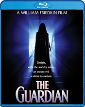 Picture of Guardian, The [Blu-ray]