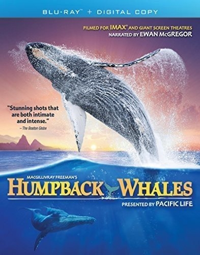 Picture of Humpback Whales (Blu-ray) (Bilingual)