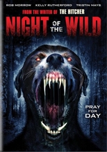 Picture of Night of the Wild