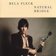 Picture of NATURAL BRIDGE  by FLECK,BELA