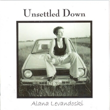 Picture of UNSETTLED DOWN by LEVANDOSKI, ALANA