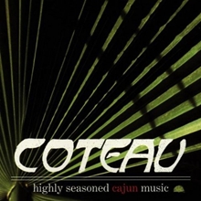 Picture of HIGHLY SEASONED CAJUN MUSI by COTEAU