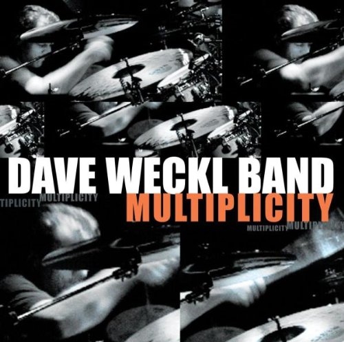 Picture of MULTIPLICITY by WECKL DAVE