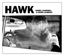 Picture of HAWK by CAMPBELL, ISOBEL & LANEGAN