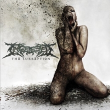 Picture of The Surreption  by Ingested