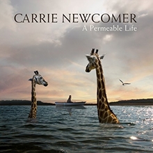 Picture of A Permeable Life by Newcomer, Carrie