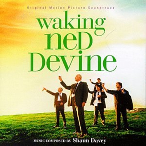 Picture of WAKING NED DEVINE by WATERBOYS,THE