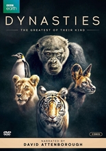 Picture of Dynasties [DVD]