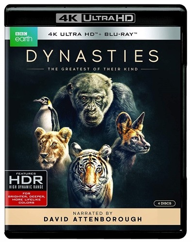 Picture of Dynasties [4K UHD+Blu-ray]