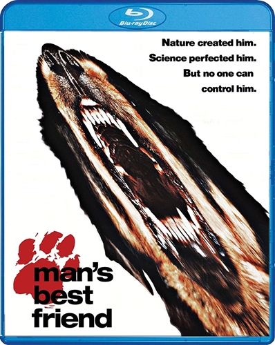 Picture of Man's Best Friend [Blu-ray]