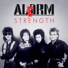 Picture of STRENGTH 1985 86(2LP) by ALARM THE