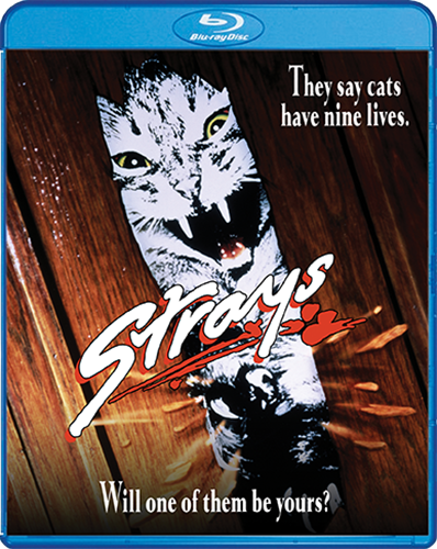 Picture of Strays [Blu-ray]