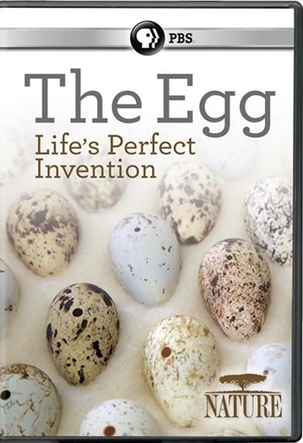 Picture of NATURE: The Egg: Life's Perfect Invention [DVD]