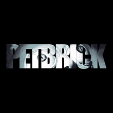 Picture of Petbrick by Petbrick