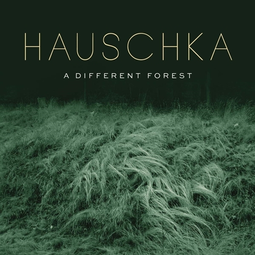 Picture of A Different Forest by Hauschka