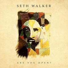 Picture of Are You Open? by Seth Walker