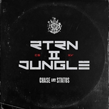 Picture of RTRN II JUNGLE  by CHASE & STATUS