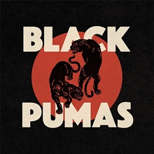 Picture of BLACK PUMAS  by BLACK PUMAS