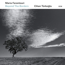 Picture of BEYOND THE BORDERS  by FARANTOURI,MARIA/TURKOGLU,