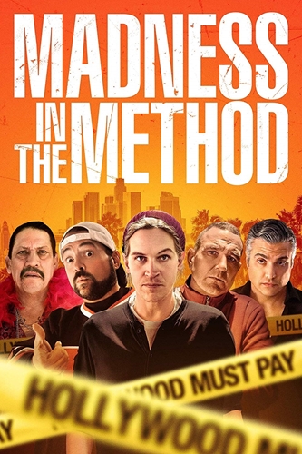 Picture of Madness in the Method [DVD]