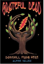 Picture of DOWNHILL FROM HERE(DVD) by GRATEFUL DEAD