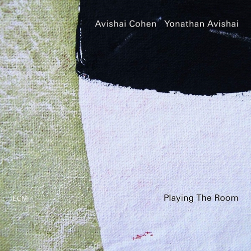 Picture of PLAYING THE ROOM by COHEN, AVISHAI