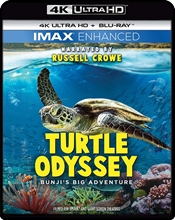 Picture of Turtle Odyssey [UHD+Blu-ray]