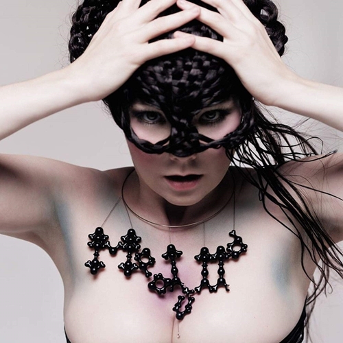 Picture of Medulla by Bjork