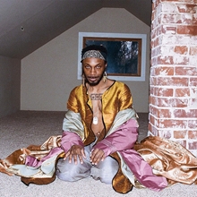 Picture of ALL MY HEROES ARE CORNB(LP by JPEGMAFIA