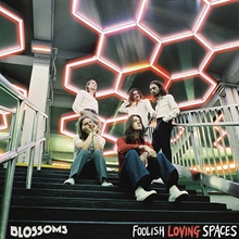 Picture of FOOLISH LOVING SPACES  by BLOSSOMS