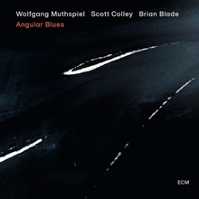 Picture of ANGULAR BLUES(LP)  by MUTHSPIEL WOLFGANG/COLLEY