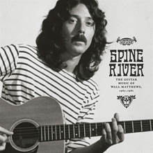 Picture of SPINE RIVER THE GUITAR(LP)  by MATTHEWS WALL