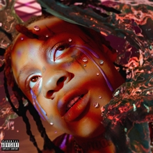 Picture of A Love Letter To You 4 (2LP) by TRIPPED REDD