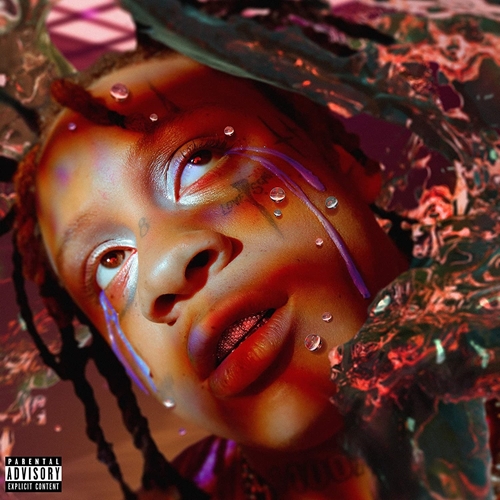 Picture of A Love Letter To You 4 (2LP) by TRIPPED REDD