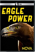 Picture of NOVA: Eagle Power [DVD]