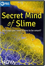 Picture of NOVA: Secret Mind of Slime [DVD]