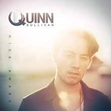 Picture of Wide Awake  by Quinn Sullivan