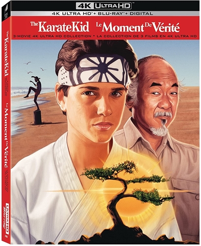 Picture of Karate Kid, The / Karate Kid: Part II, The / Karate Kid III (Bilingual) [UHD+Blu-ray+Digital]
